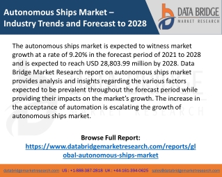 Autonomous Ships Market