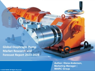 Diaphragm Pump Market Research and Forecast Report 2023-2028