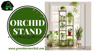 Transform the look of any room with our stunning Orchid Stand