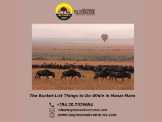 The Bucket-List Things to Do While in Masai Mara
