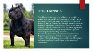 pitbull kennels