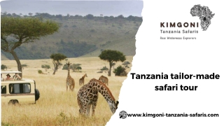 Tanzania tailor-made safari tour