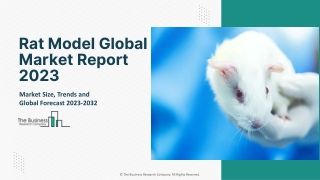 Rat Model Market