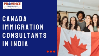 Green OraCanada Immigration Consultants in Indiange Simple Marketing Plan Presentation (2)