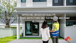 Improving Indoor Air Quality The Role of Home Inspections and Testing For Mold and Allergens