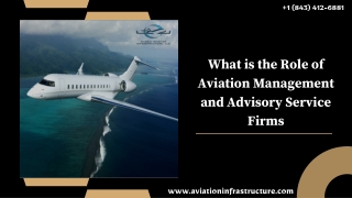 What is the Role of Aviation Management and Advisory Service Firms