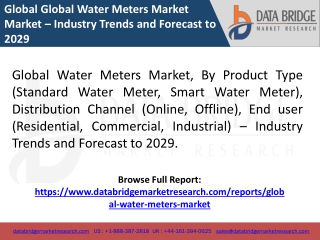 Global Water Meters Market