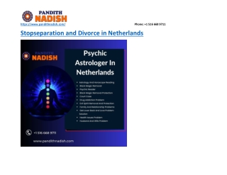 Best Psychic Astrologer In Netherlands -pandithnadish