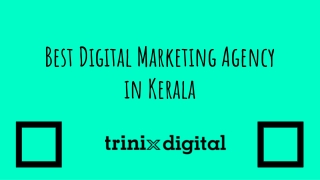 TRINIX DIGITAL - Top Digital Marketing Agency Kerala