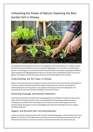 Unleashing the Power of Nature: Exploring the Best Garden Soil in Ottawa