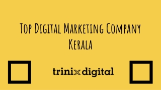 TRINIX DIGITAL - Top Digital Marketing Company Kerala