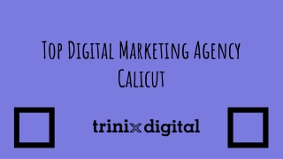 TRINIX DIGITAL - Top Digital Marketing Agency Calicut