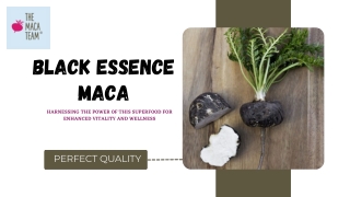 Harnessing the power of black maca for enhanced vitality and wellness