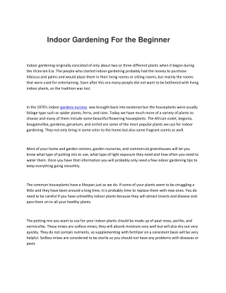 Indoor Gardening For the Beginner