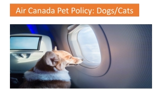 Air Canada Pet Policy