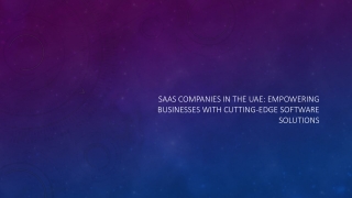 SaaS Companies in the UAE
