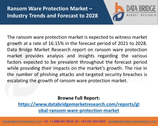 Ransom Ware Protection Market