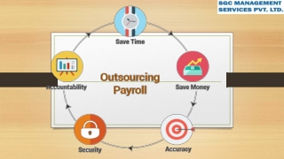 Maximize Efficiency with Professional Payroll Management