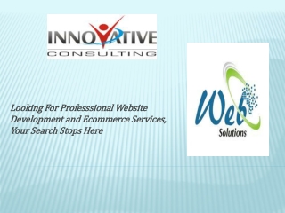 Professional Web Development Solution Services