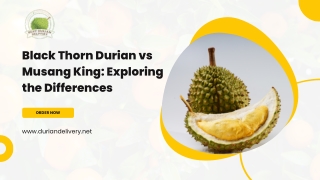 Musang King Durian