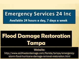 Flood Damage Restoration Tampa