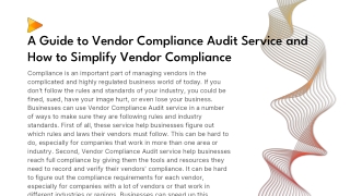 Vendor Compliance Audit Service