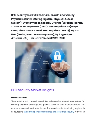 BSFI Security