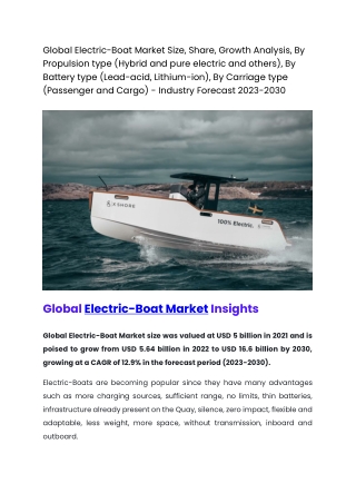 Global Electrice boat market