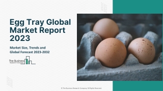 Egg Tray Market 2023 - Top Manufactures, Growth Rate, Revenue And Forecast 2032