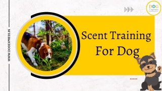 Scent Training For Dogs