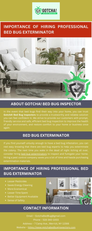 Importance of Hiring Professional Bed Bug Exterminator