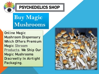 Buy Mushroom Edibles Online - Psychedelics Shop