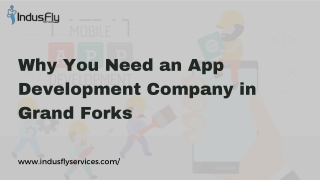 Why You Need an App Development Company in Grand Forks (1)