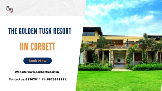 Corporate Offsite in Jim Corbett | The Golden Tusk Resort in Jim Corbett