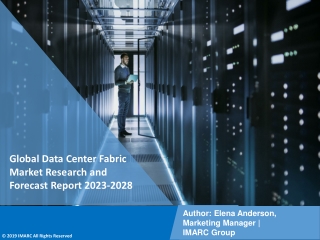 Data Center Fabric Market Research and Forecast Report 2023-2028