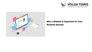 Why a Website is Important for Your Business Success | Volga Tigris Dubai