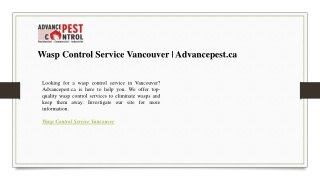 Wasp Control Service Vancouver Advancepest.ca