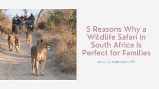 5 Reasons Why a Wildlife Safari in South Africa Is Perfect for Families