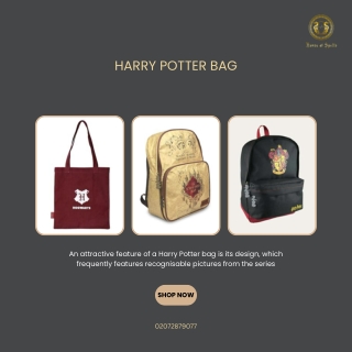 Harry Potter Bag - House of Spells