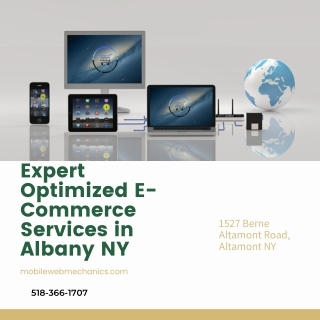 Expert Optimized E-Commerce Services in Albany NY