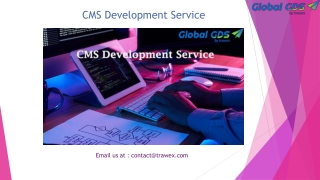 CMS Development Service