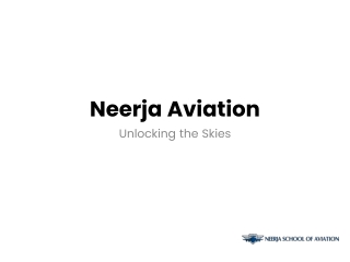 Neerja Aviation