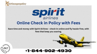 Spirit Airlines Check-in | Policy & Process