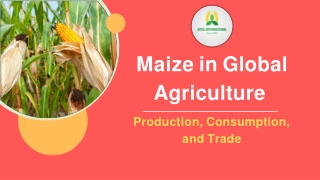 Maize in Global Agriculture : Production, Consumption,and Trade