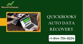 Complete Guide to QuickBooks Auto Data Recovery