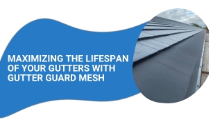 Maximizing the Lifespan of Your Gutters with Gutter Guard Mesh