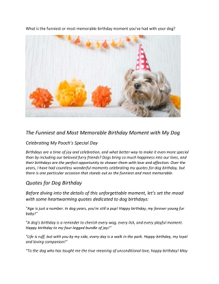 What is the funniest or most memorable birthday moment you've had with your dog?