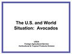 The U.S. and World Situation: Avocados