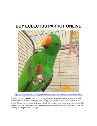 BUY ECLECTUS PARROT ONLINE