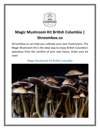 Magic Mushroom Kit British Columbia  Shroombox.co